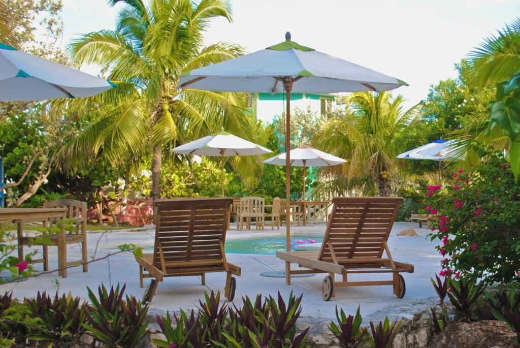 Tropical Patio